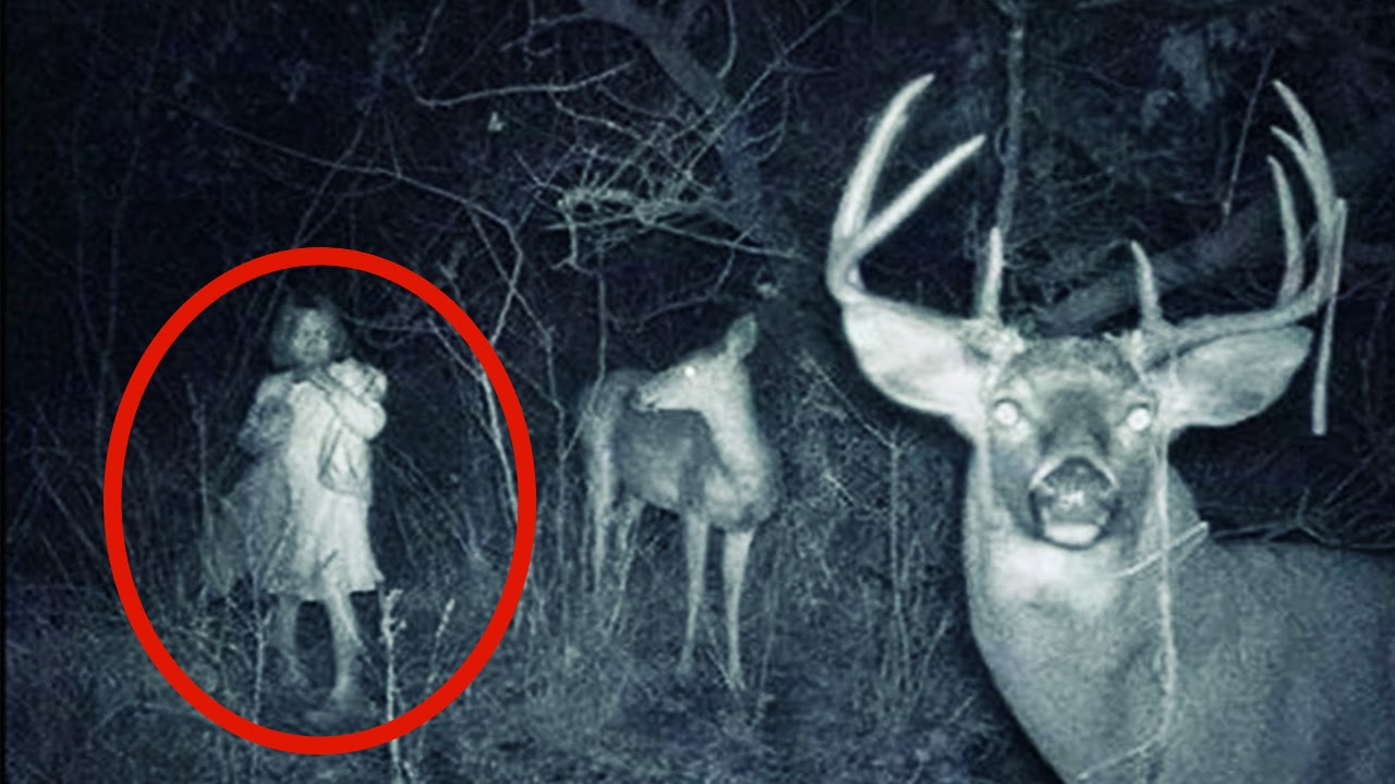 Die 15 gruseligsten und unheimlichsten Aufnahmen von J&auml;ger Cam's | MythenAkte