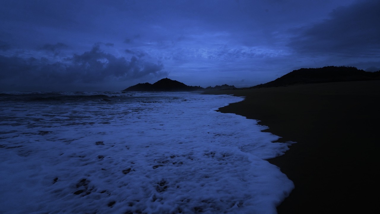 Fall Into Sleep Instantly – Dark Ocean Waves on Caribbean Beach for Deep Sleeping All Night