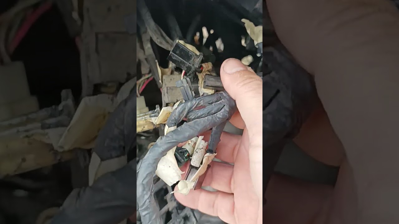 Honda goldwing Electrical wiring reconnected