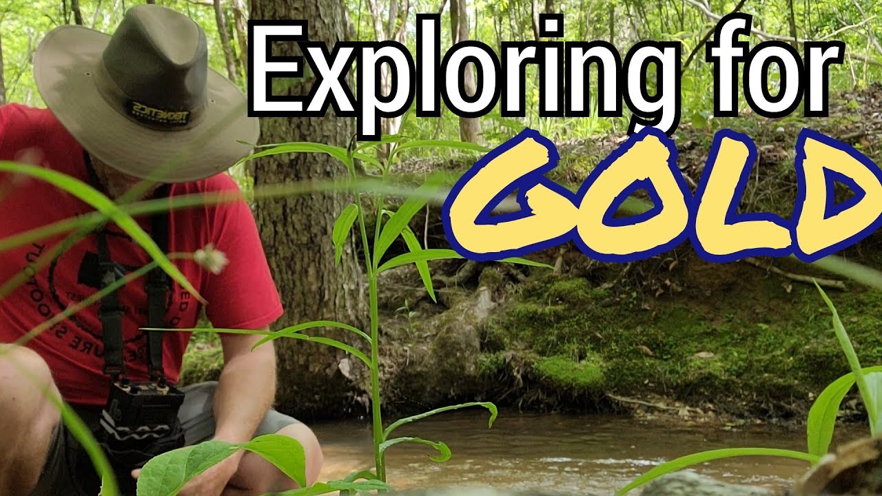 Chasing Gold with Fisher Gold Bug 2