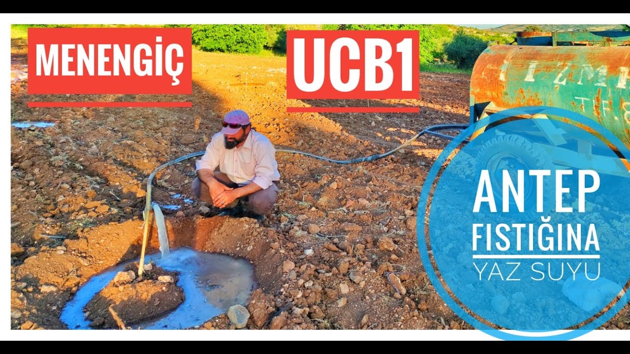 ANTEP FISTIĞINA YAZ SUYU/ MENENGİÇ ve UCB 1 FİDELERİNİ İLK KEZ SULADIK..