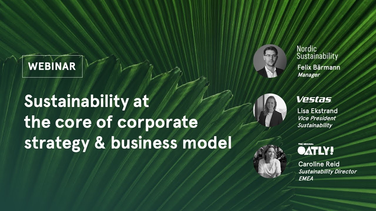 Sustainability at the core of corporate strategy & business model