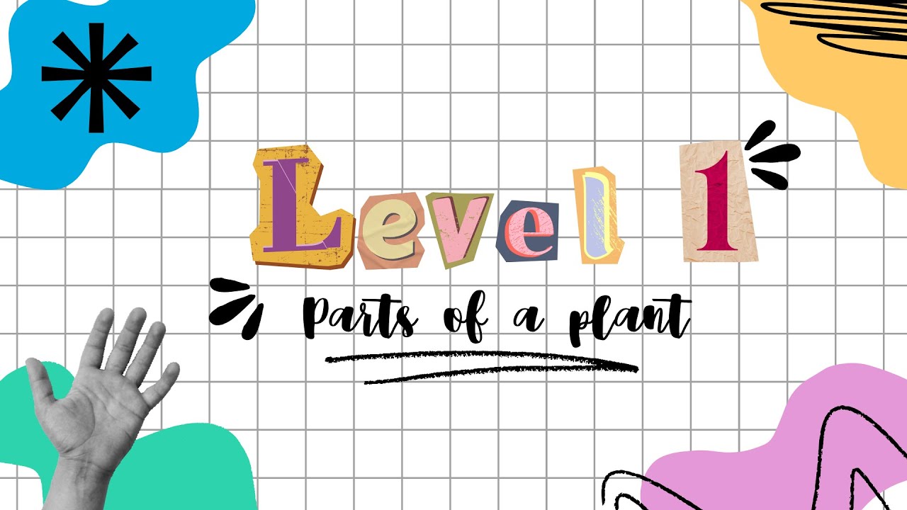 CARDENAL COPELLO SCHOOL OF ENGLISH - PARTS OF A PLANT BY LEVEL 1 A/B