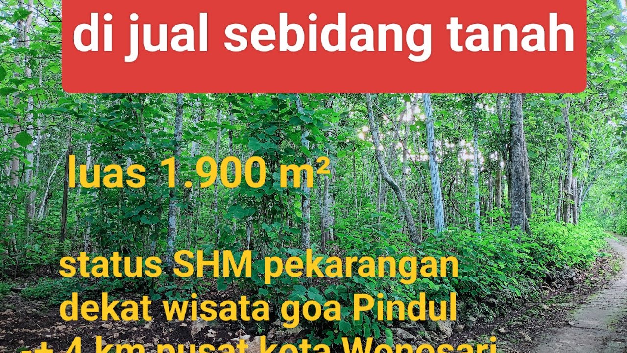 dijual tanah SHM pekarangan, dekat wisata goa Pindul @PakNuProperty