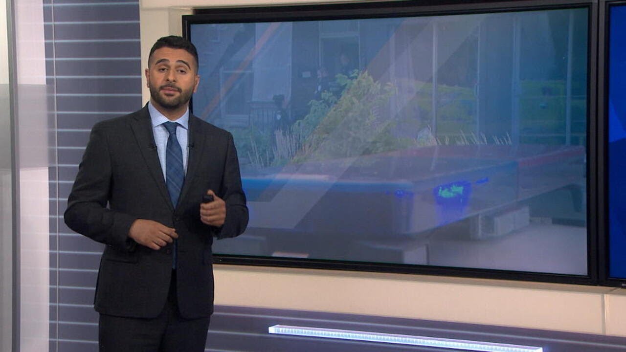SPVM: de plus en plus de policiers issus de la diversité -  Reportage, 18h