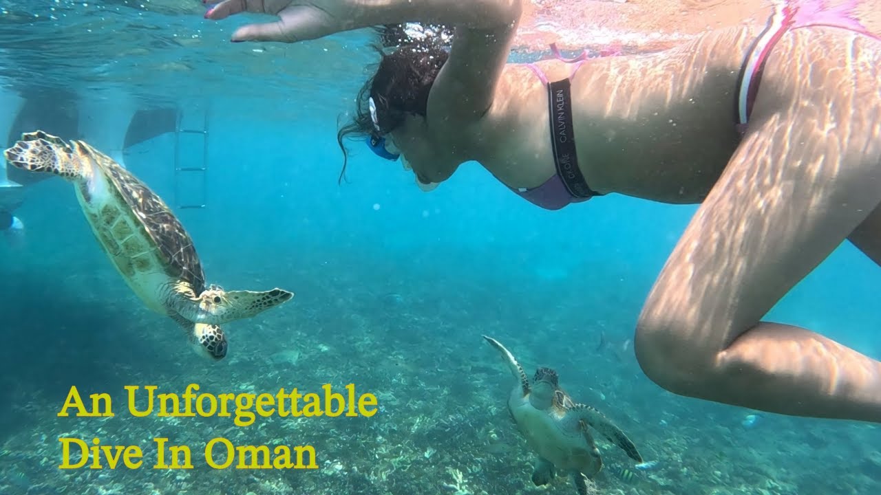 Underwater with a sea turtles!Oman