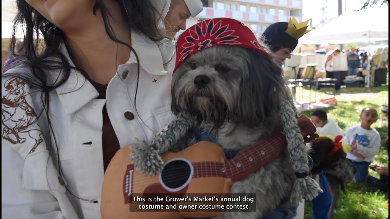 VIDEO STORY: Downtown Growers Market hosts furry fashion show with Dogboo costume contest