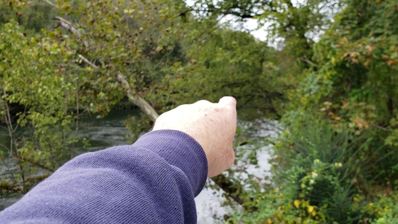 Dale Hollow Dam Obey River Campground