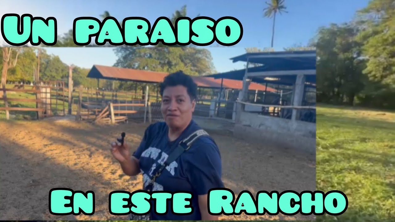 Llegue A Un Rancho Vea La Chulada De Lugar Sona Verde 🌱 cantidad De árboles De Mango