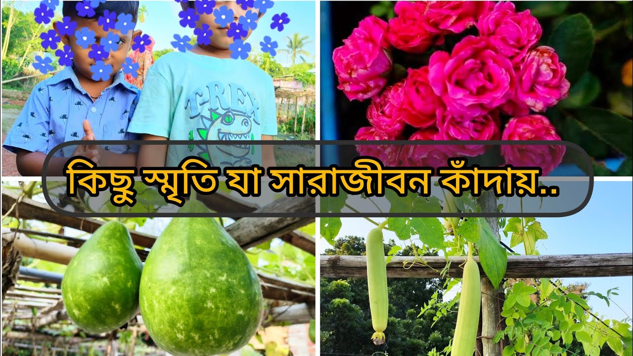 জীবন হাটে নিয়তির লেখা পথ ধরেই,অনেক কিছুই এখন স্মৃতি হয়ে গেছে,বন্দী করে রাখলাম ভিডিওতে✅#vairalvideo