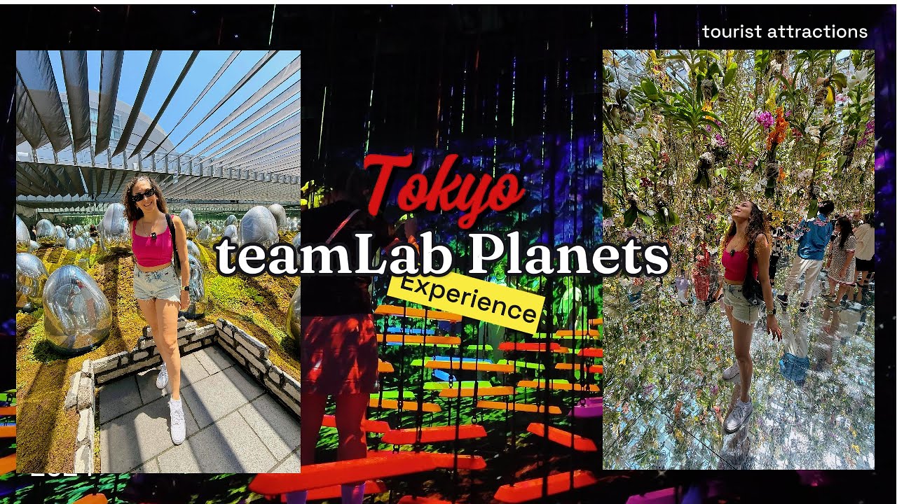 Dünyanın en garip deneyim merkezi !!! Teamlab Planets Tokyo / Gyoza, Don Quijote Alışveriş