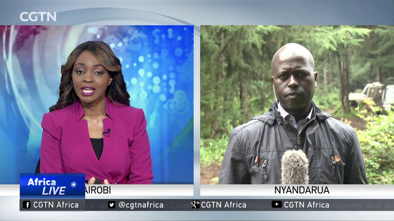 KENYA: Military search team spots plane wreckage in the Aberdares