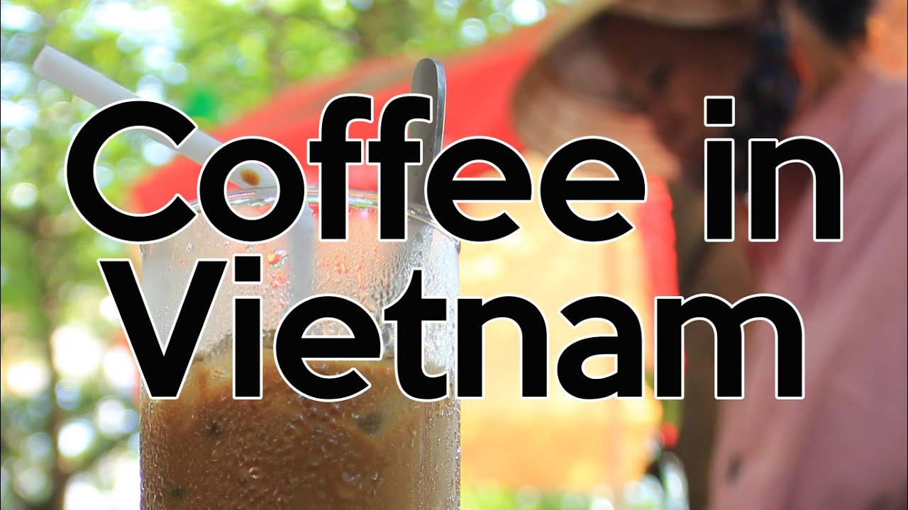 The Truth About Coffee in Vietnam