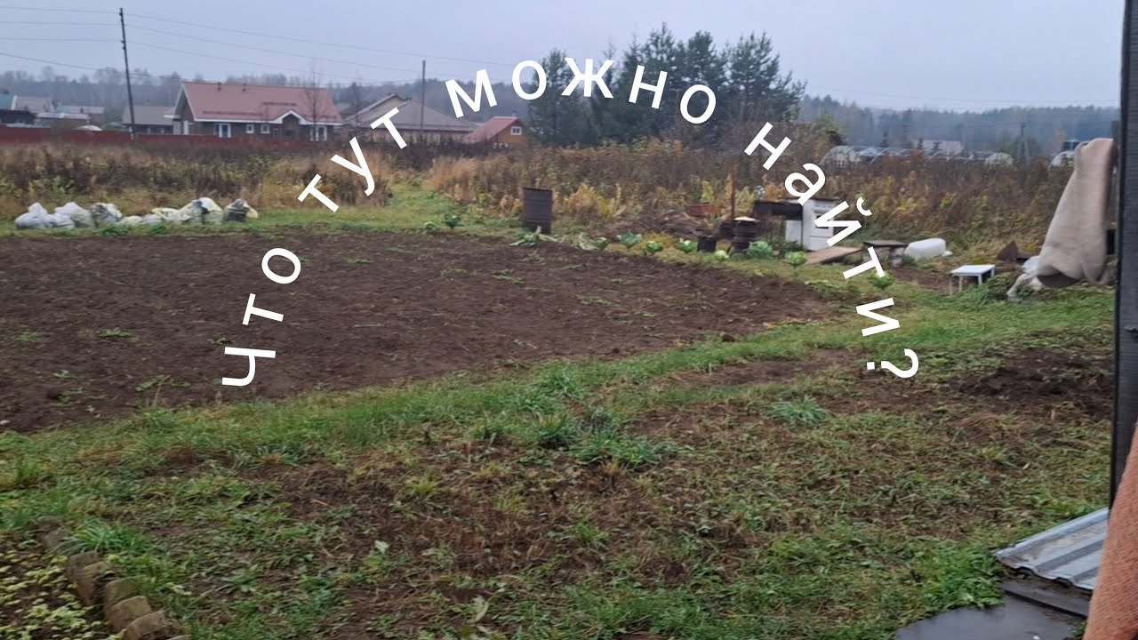 Копаю с метплоискателем прямо на участке в деревне