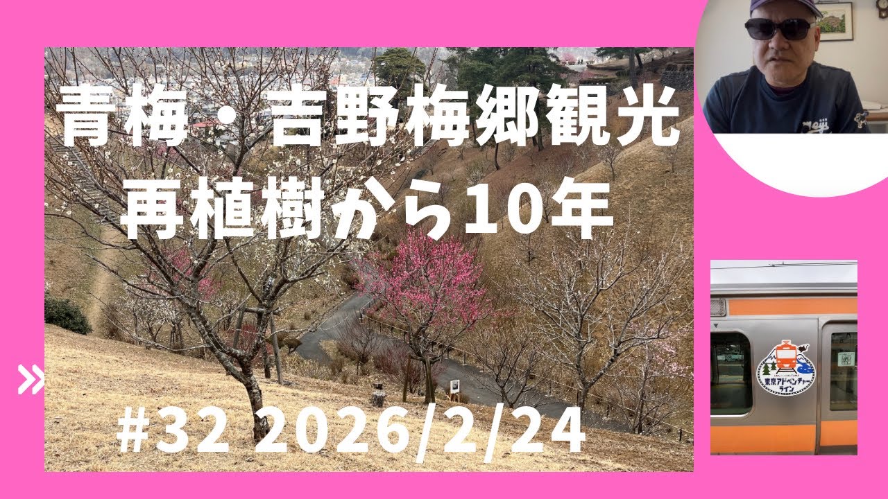 青梅・吉野梅郷観光 再植樹から10年