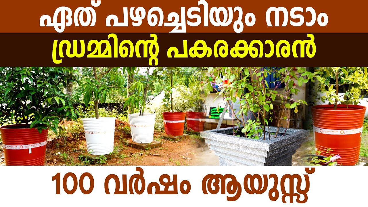 1 രൂപ മുതൽ ഇവിടെ ചെടിച്ചട്ടികൾ കൂട്ടിയിട്ട് വിൽക്കുന്നു