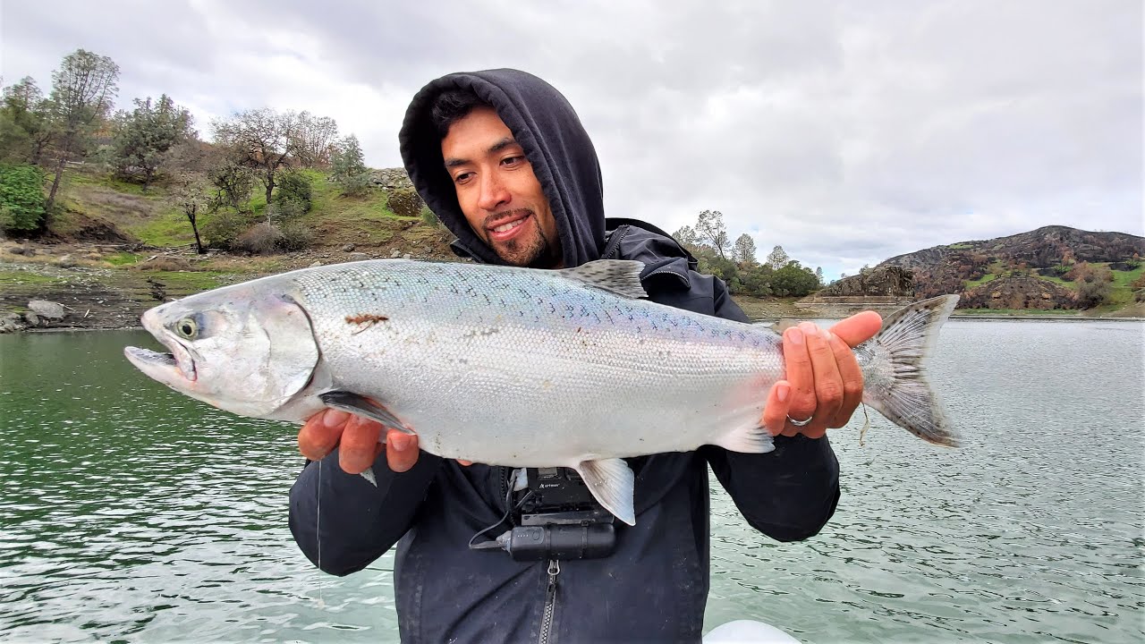 Most Fish I've Ever Lost in a Day!