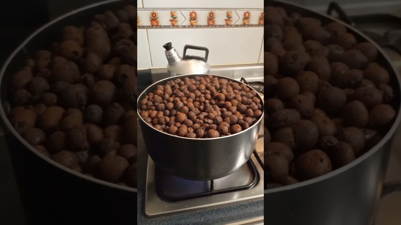 Preparaci&oacute;n de Arlita o Leca para cultivar plantas en agua #hidroponia