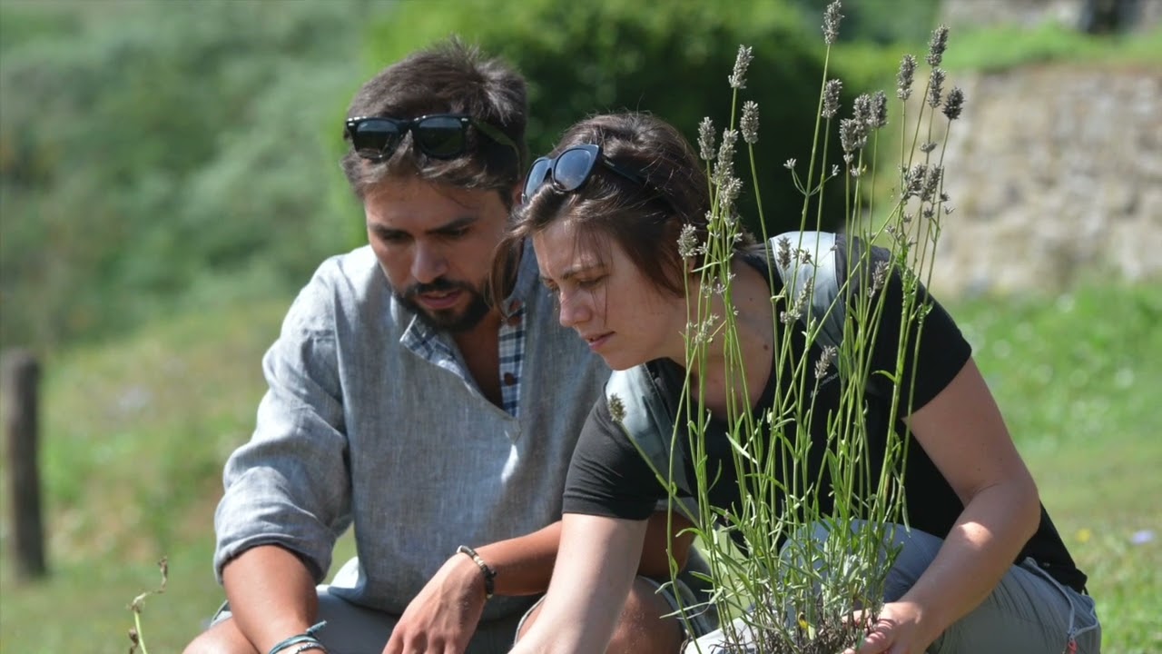 Domenica 29 dicembre, l'augurio alle famiglie di don Luigi Verdi