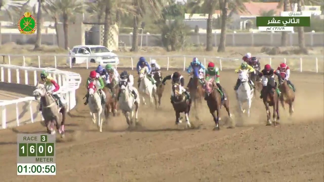 Race 3 - Twelfth Meeting -  Rahba - 19/01/2023