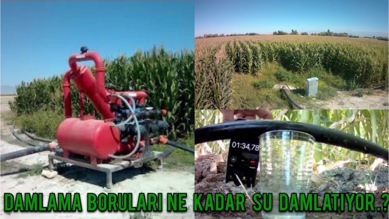 2.Ekim Mısıra Damlama Yapımı | Son Sulama | Damlama Boruları Ne Kadar Su Damlatıyor.?