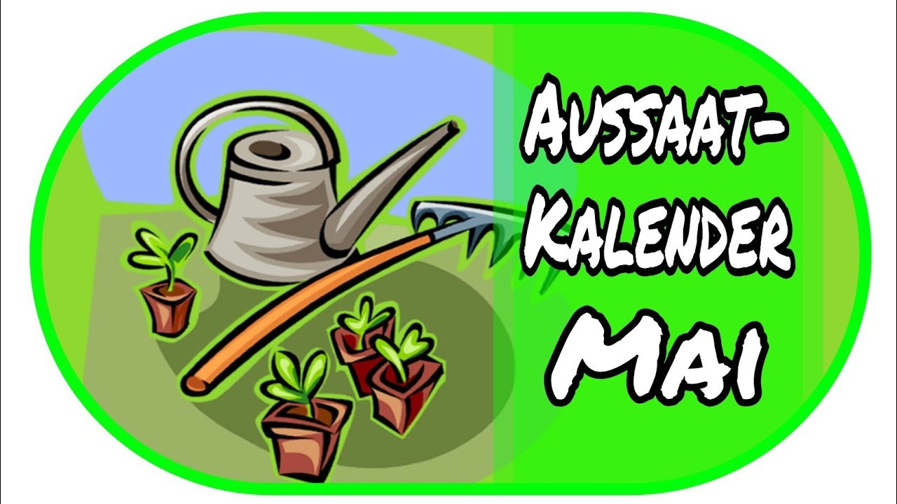 🌻Aussaatkalender Mai - Vorzucht zu Hause 🌻// Garten // Anzucht //Aussaat // Gew&auml;chshaus