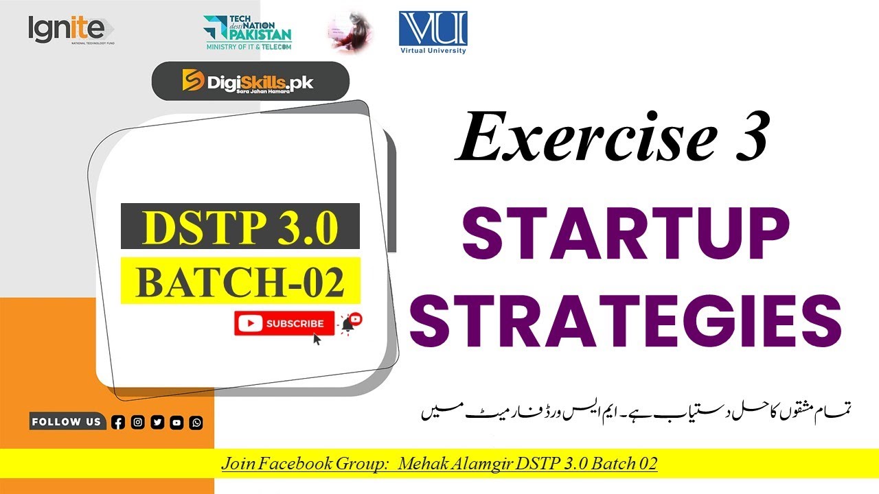 digiskills startup strategies & entrepreneurship exercise 3