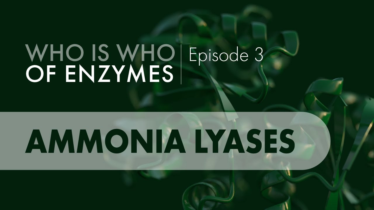 Who Is Who of Enzymes: Ammonia Lyases