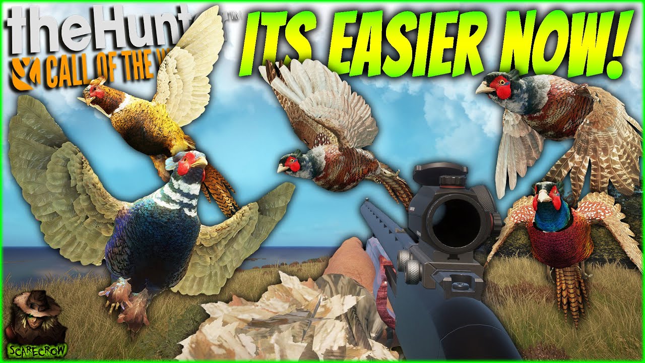 They Changed The Pheasant Great One Grind Forever... (Its AMAZING!) Call of the wild