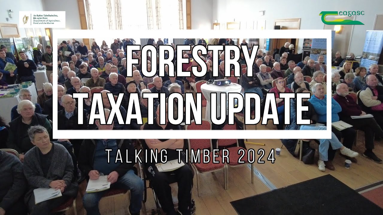 Forestry Taxation Update - Talking Timber 2024