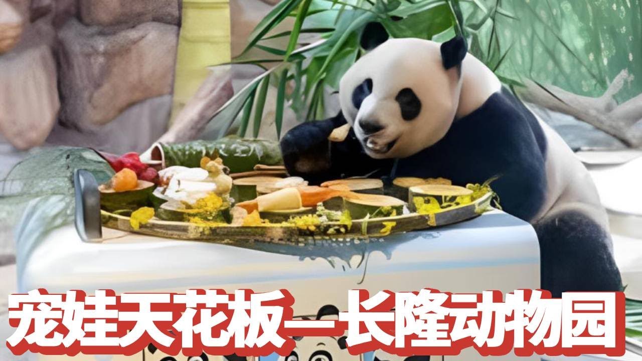 长隆动物园宠娃到底有多豪横？不仅给帅帅做了会旋转和升降的咖啡杯还给酷酷豪掷几十万升级小火车，真是宠娃天花板！【追娱秀场】