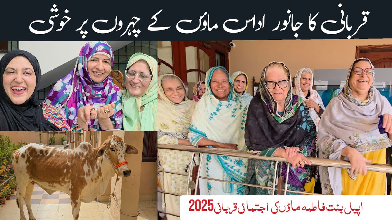 Qurbani Ka Janwar Udaas Maoon Kay Lye Khushi | Donate Qurbani Animals For Mothers | Old Age Home