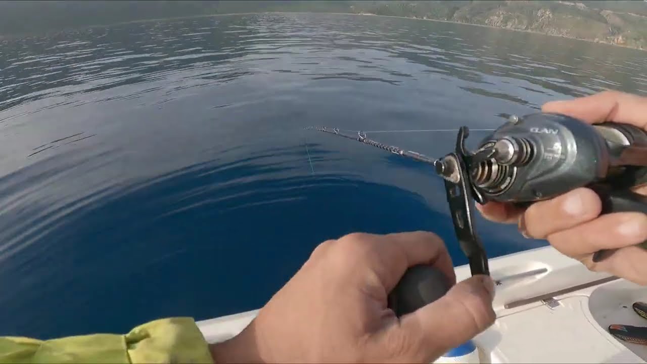 خرجة صيد في القل بالطعم الحي sortie de peche aux vif (sépia) collo le 28-11-2024