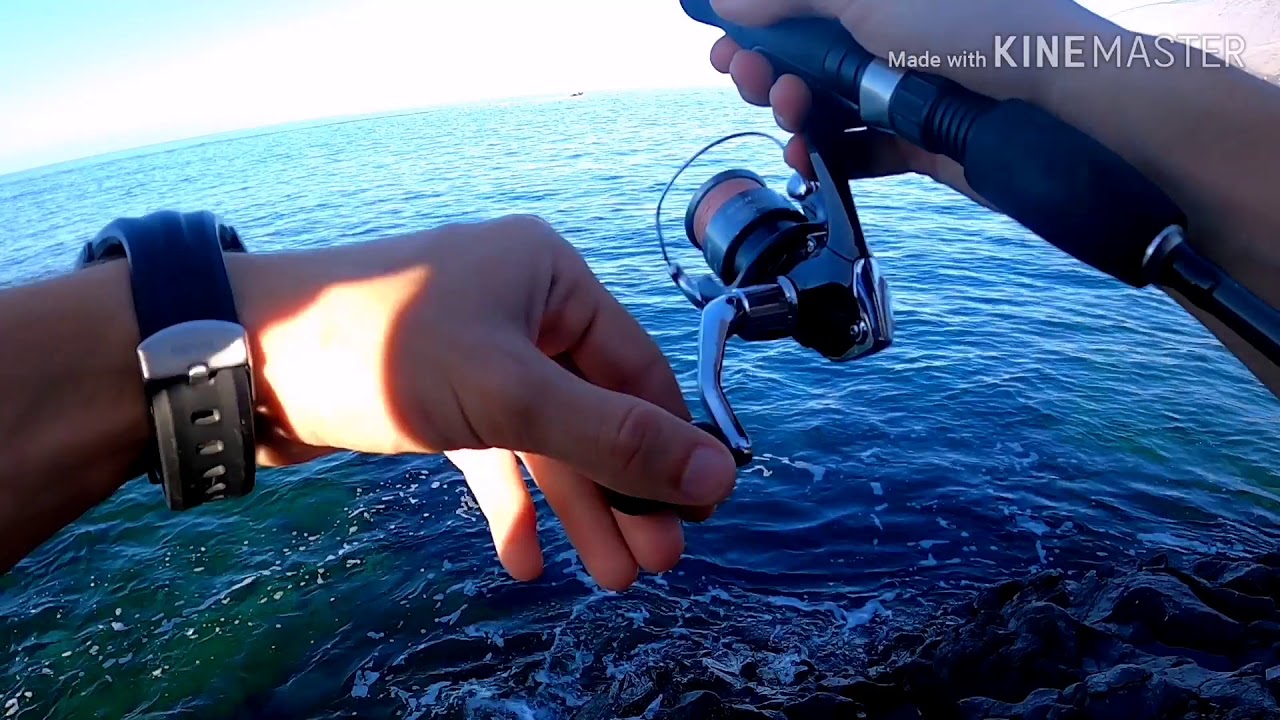 Pesca a rockfishing El Hierro 2020