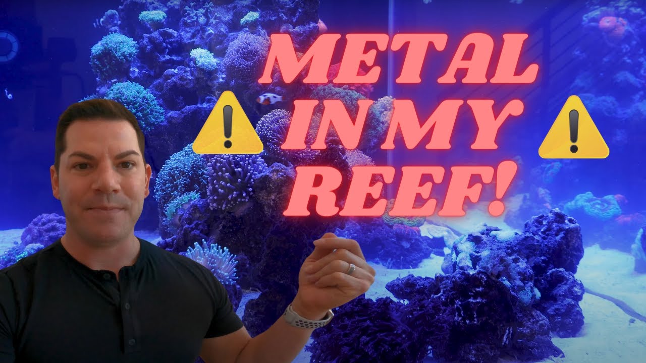 I found METAL in my REEF AQUARIUM!! + How to Remove it!