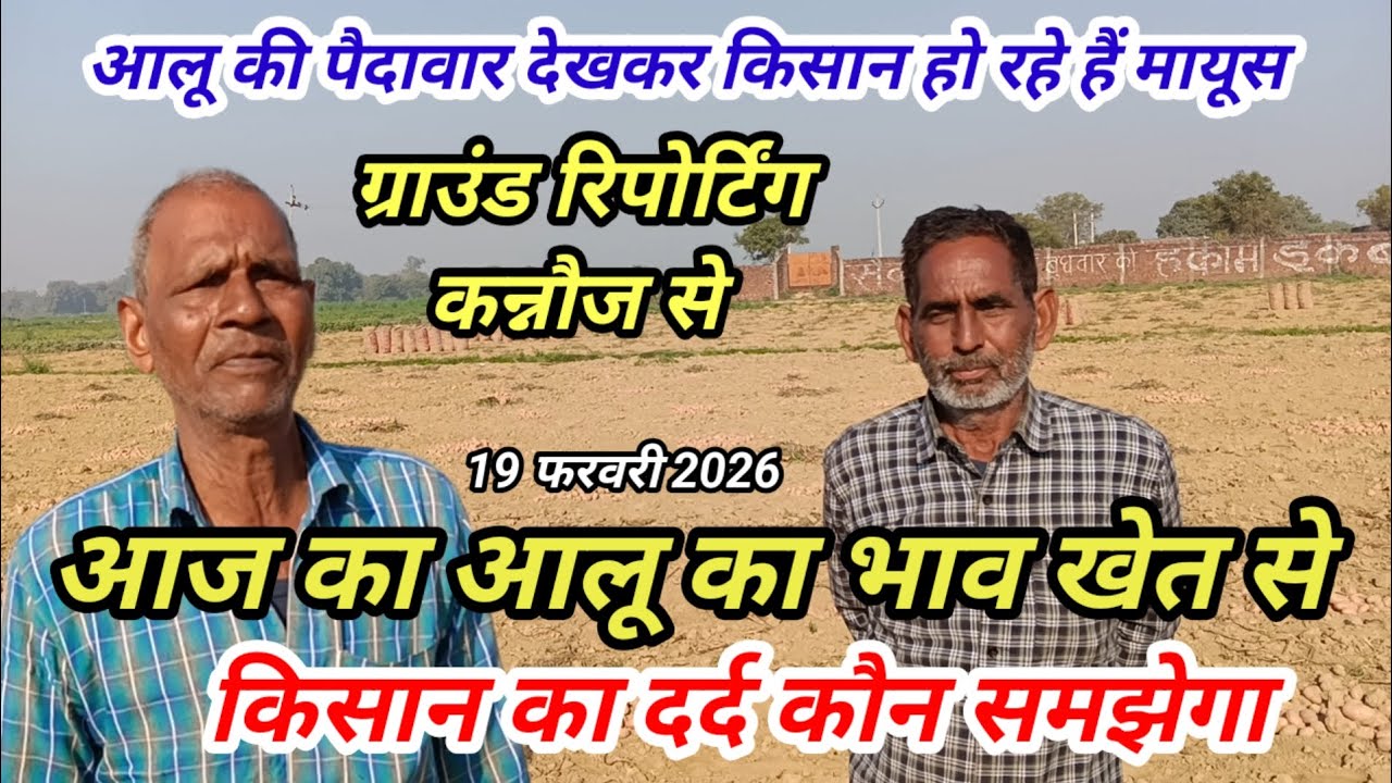आज का आलू का भाव खेत से कन्नौज से देखिए ग्राउंड रिपोर्टिंग किसानों का क्या है दर्द 