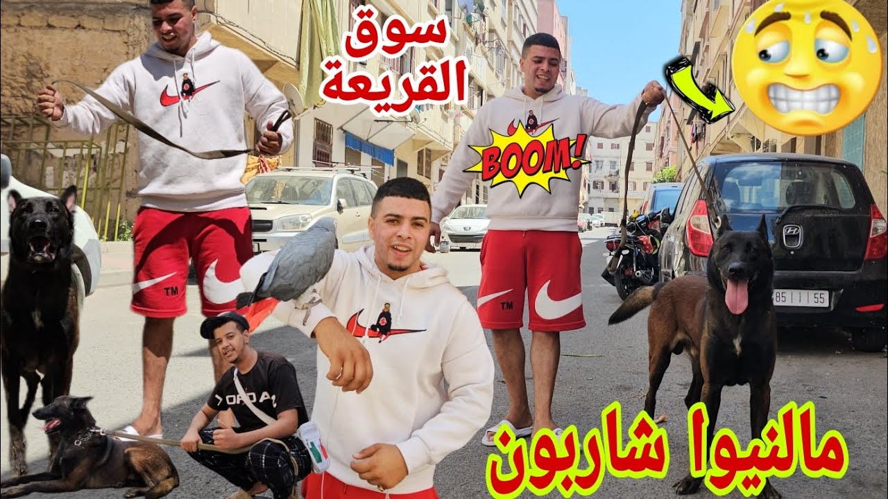 مباشرة وحصريا من قلب سوق القريعة بالدار البيضاء🇲🇦🇲🇦 اااااالجديد مع مولوع حسام واحسن مالنيوا شاربون 🔥