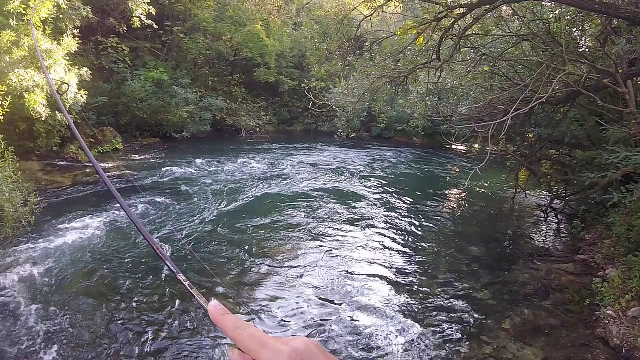 Cetina 2018 - Trout fishing in Croatia
