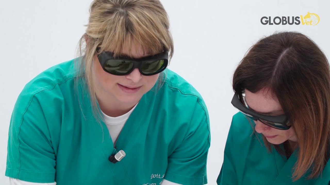 Introduction to Lasertherapy and Laservet 1000