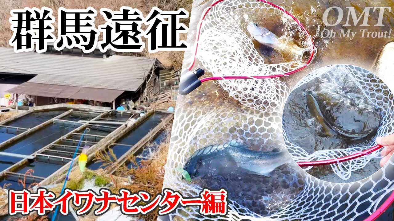 【日本イワナセンター】魚が凄いと噂のイワナセンターへ【OMT Oh my Trout】