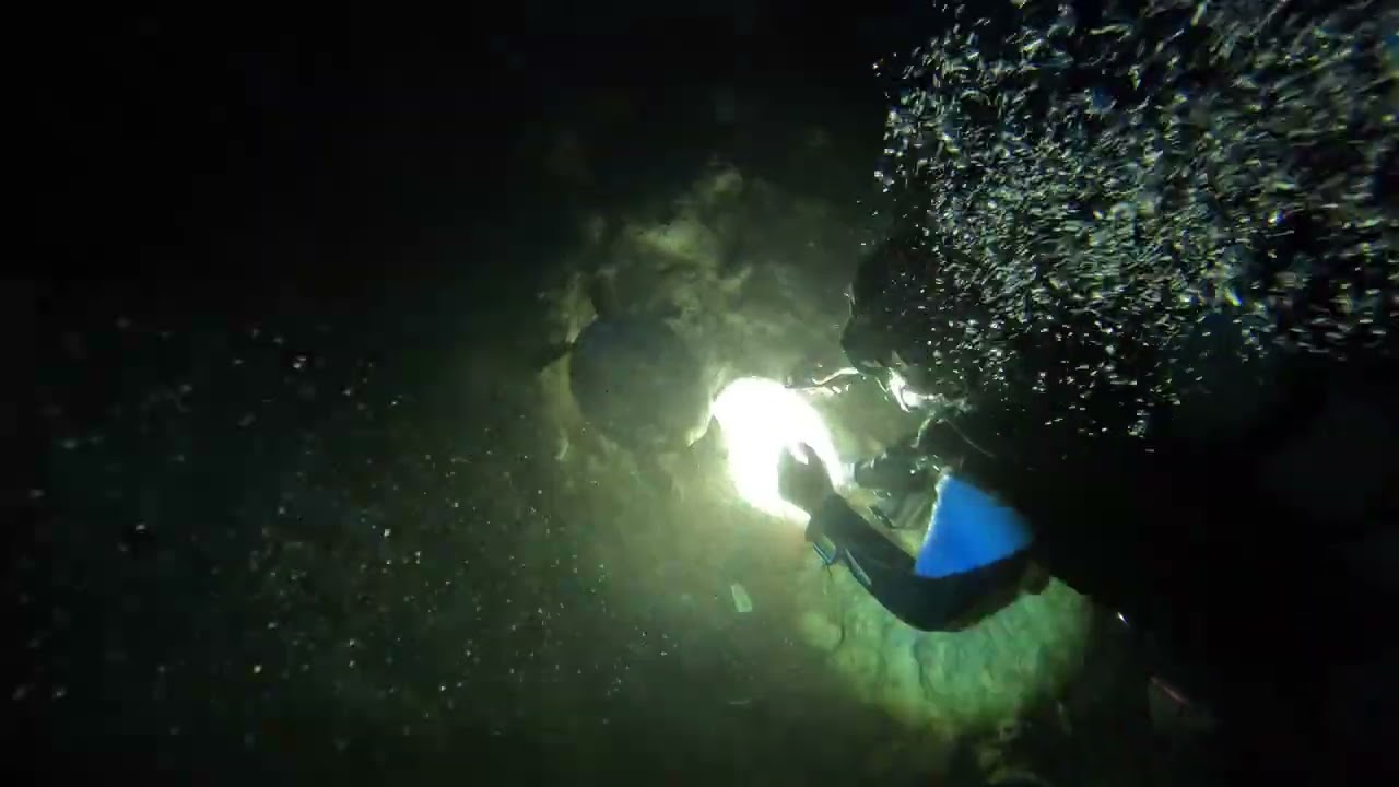 BlueGrotto 2 14 2026