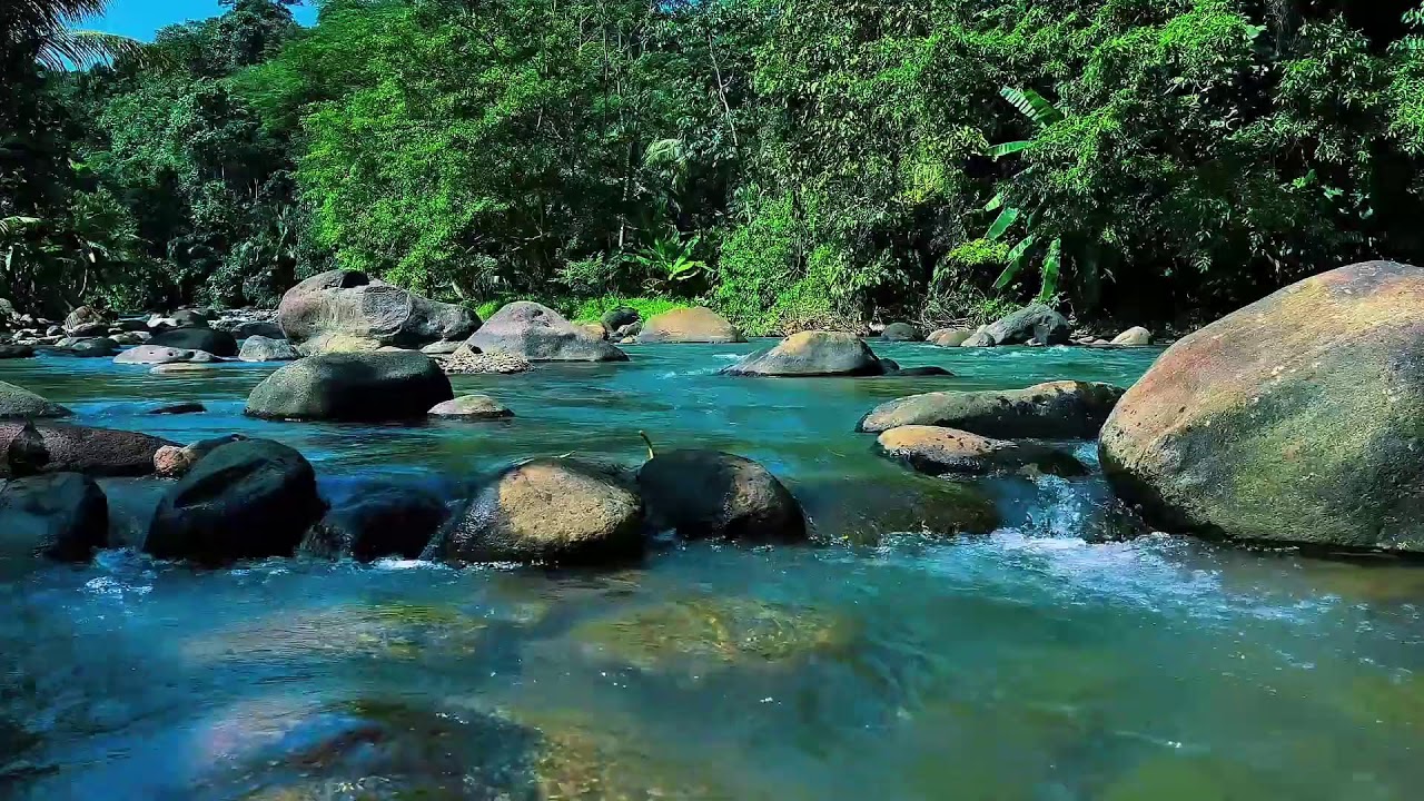 Gentle River Sound to Beat Insomnia | Deep Night Water Flow for Calm Sleep & Relax