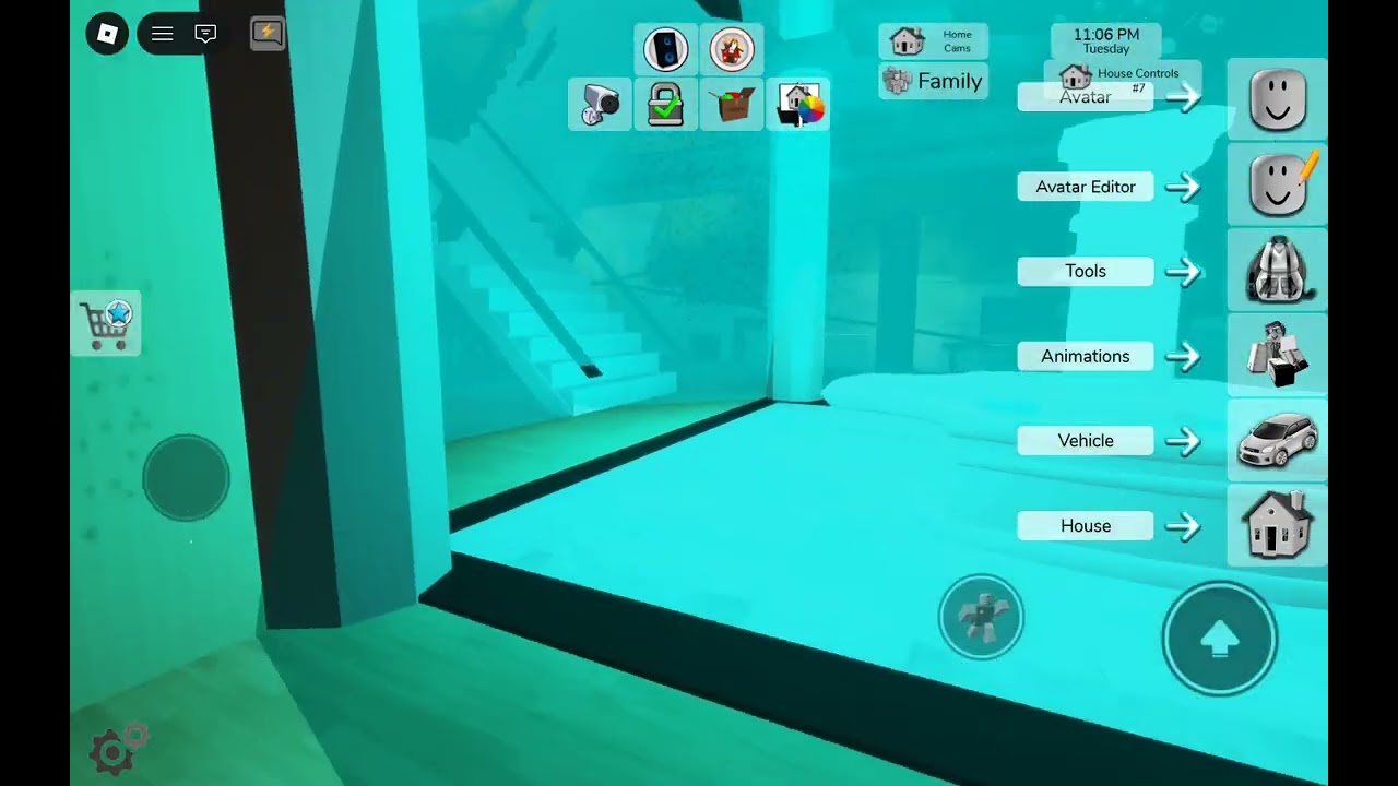 Showing my accounts in roblox