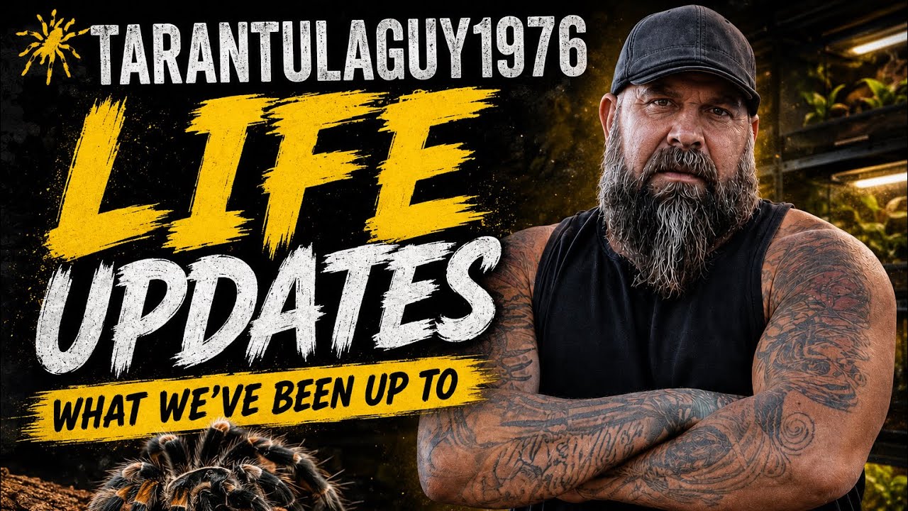 Updates | Life Updates | And Talking! BAM!