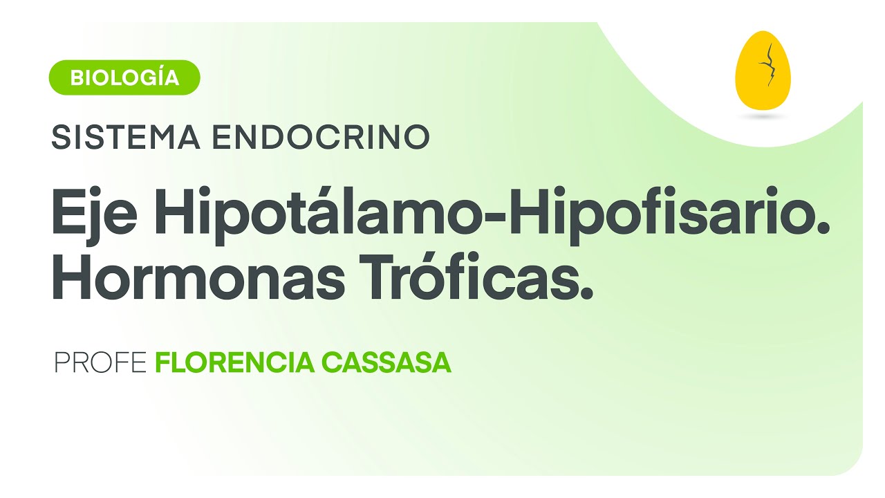 Eje Hipotálamo-Hipofisario. Hormonas Tróficas | Biología | Sistema Endocrino | V4 | Egg Educación