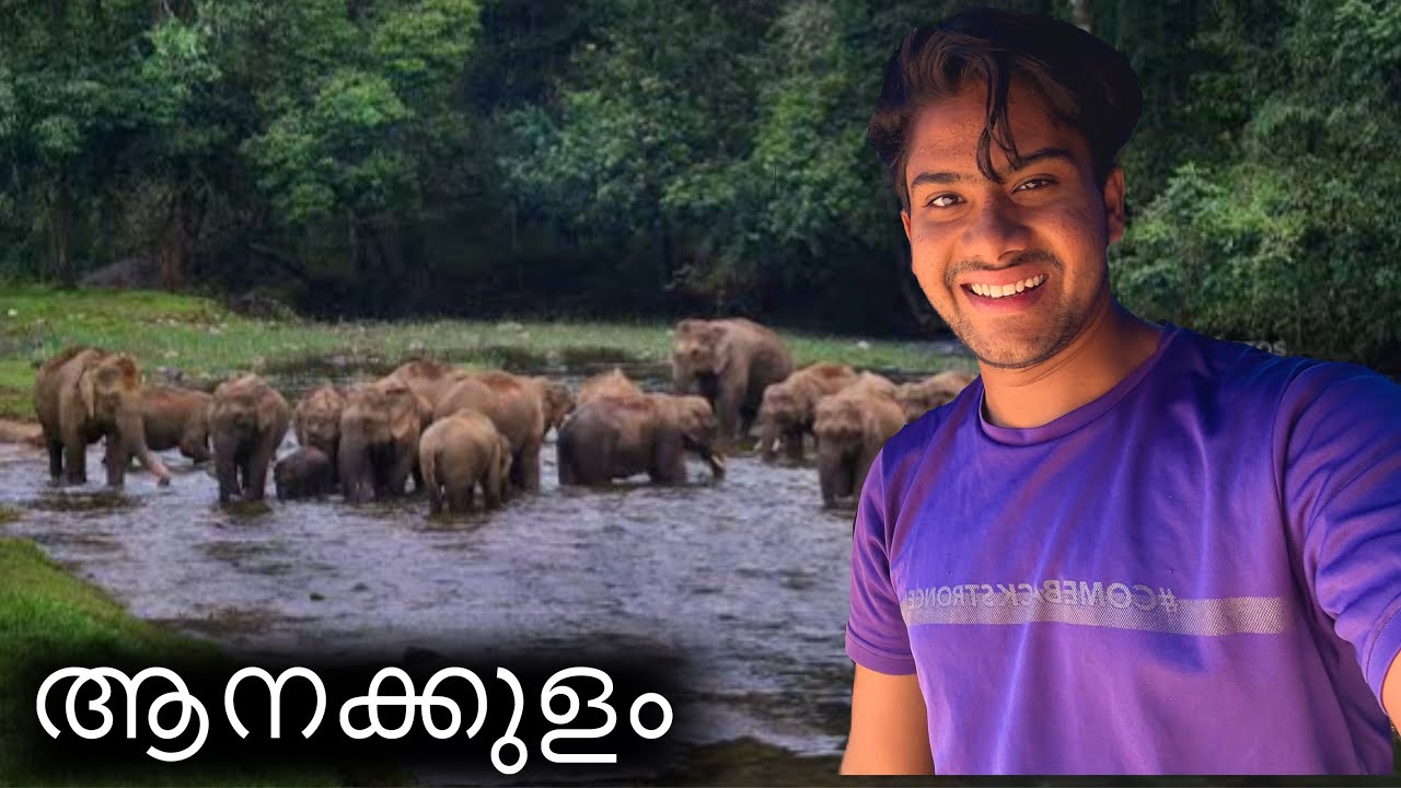 ആന മദ്യപിക്കാൻ വരുന്ന കേരളത്തിലെ ഒരേയൊരു സ്ഥലം / Anakkulam kerala