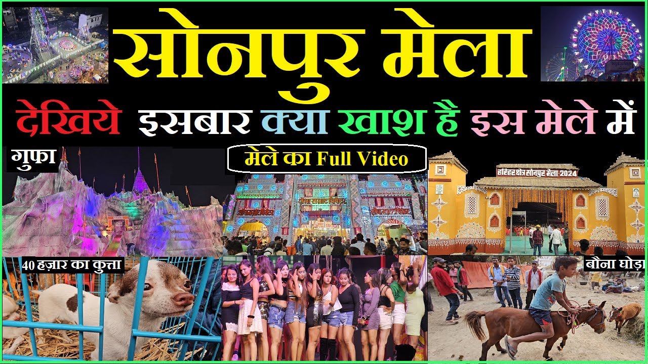 Sonpur mela 2024 full video | घूमिये पूरा सोनपुर मेला | Dog market | horse market | theater video