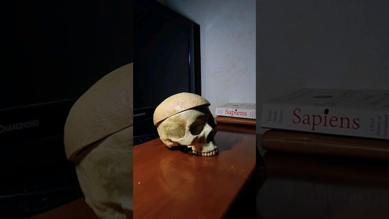 PSYCHO ☠️| ROOMmate | Malayalam | Insta-dr_kid_smile_official #psycho #malayalam #creative #shorts