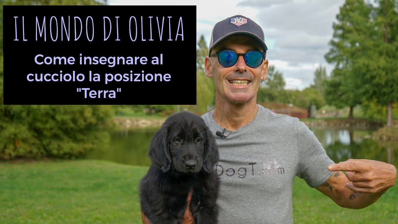 Come insegnare la posizione 