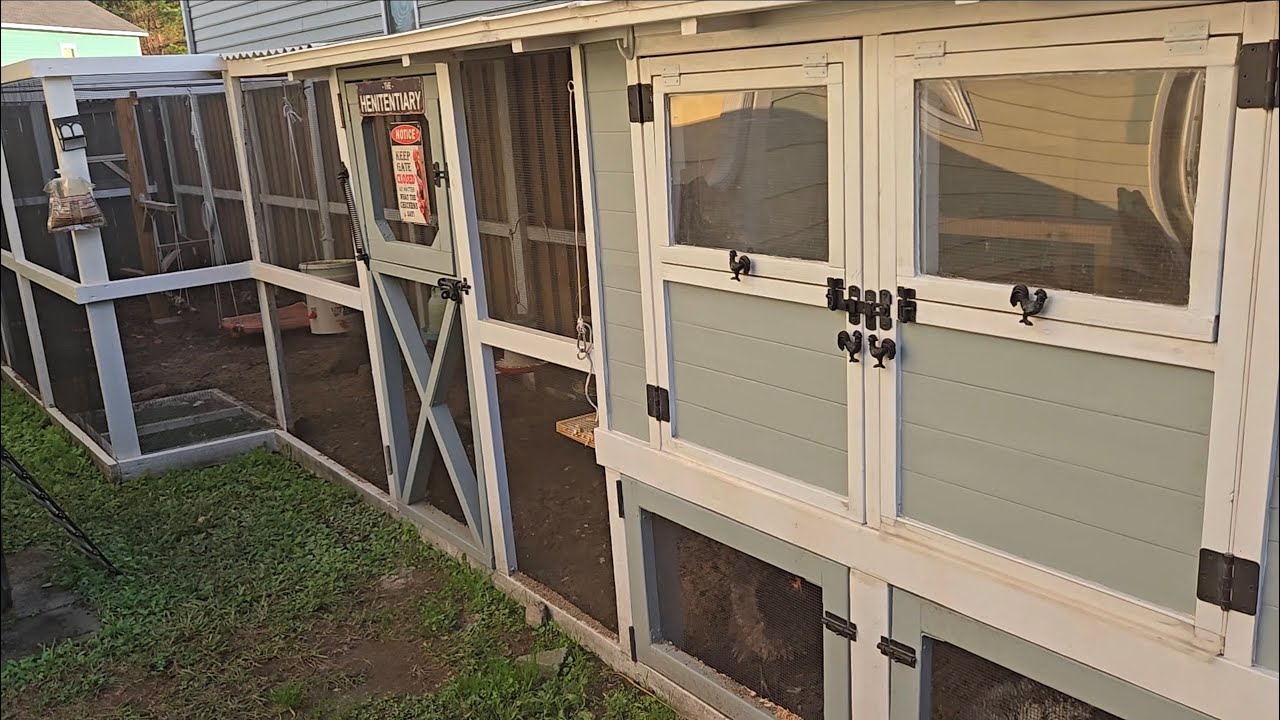 Обновление Chicken Coop — год спустя